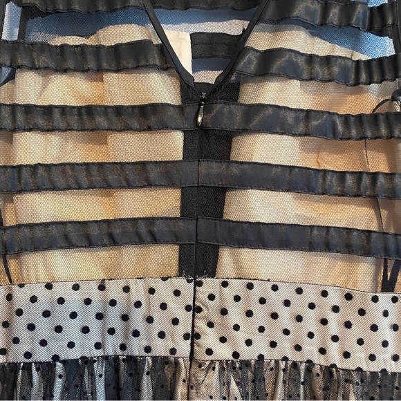 Hailey Logan Cream & Black Lace Gown - Picture 7 of 10